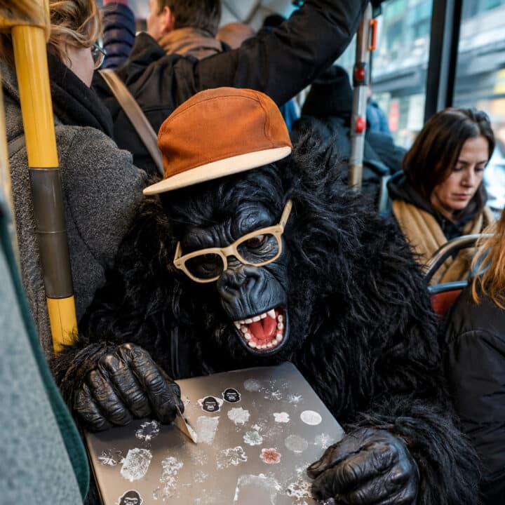 Gorilla laptop bus